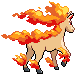 PokeRogue Dex pokemon Rapidash | pokeroguedex.net