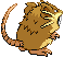 PokeRogue Dex pokemon Raticate | pokeroguedex.net