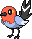 PokeRogue Dex pokemon Fletchling | pokeroguedex.net