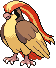 PokeRogue Dex pokemon Pidgeot | pokeroguedex.net