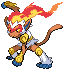 Pokémon Infernape in pokeroguedex.net