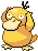 Pokémon Psyduck in pokeroguedex.net