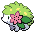 Pokémon Shaymin in pokeroguedex.net