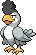 Squawkabilly White Plumage pokemon in PokeRogue Dex | pokeroguedex.net