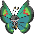 Vivillon Garden pokemon in PokeRogue Dex | pokeroguedex.net